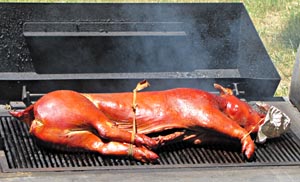 Barbequed Pig